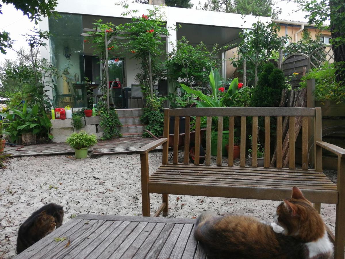 Le Relais De La Praya Acomodação com café da manhã Lège-Cap-Ferret Exterior foto