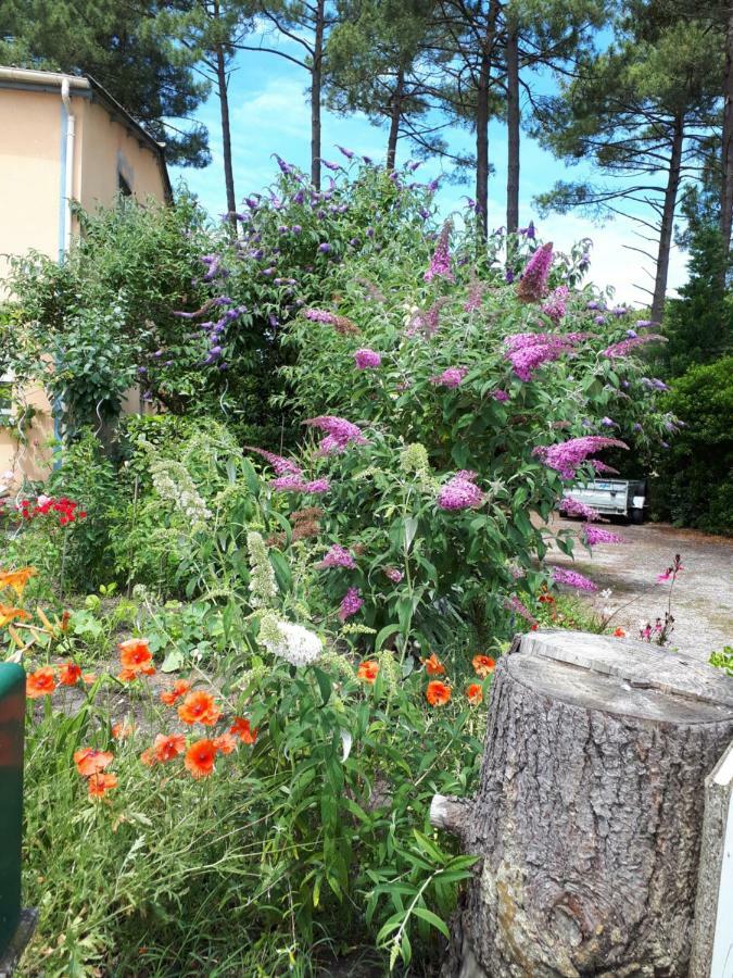Le Relais De La Praya Acomodação com café da manhã Lège-Cap-Ferret Exterior foto